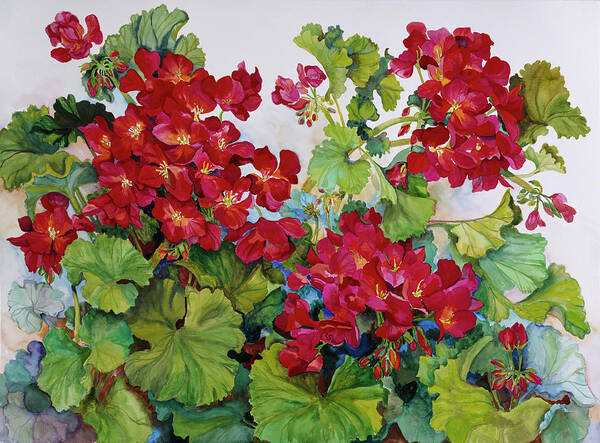Red Geraniums. Art Print featuring the painting Deep Red Geraniums by Joanne Porter