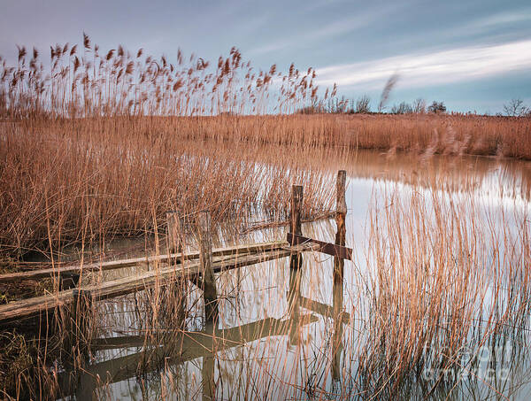 Utvalinge Art Print featuring the photograph Dilapitated old jetty by Sophie McAulay