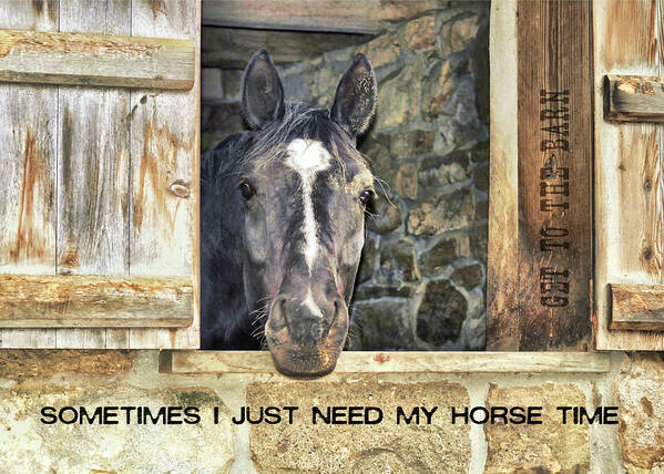 I Art Print featuring the photograph DUTCH DOOR quote by Dressage Design