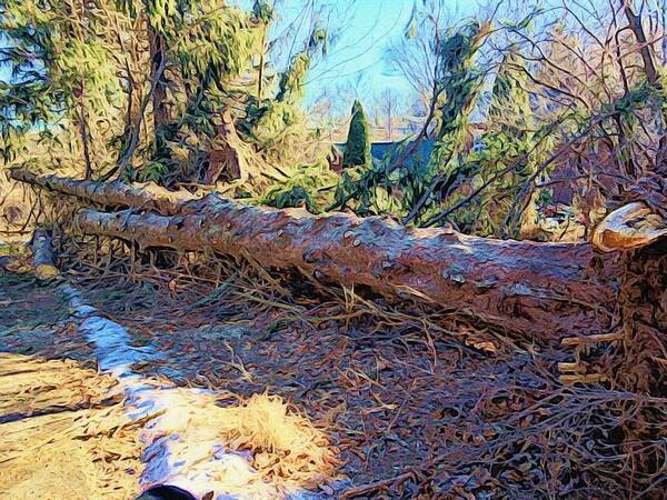 Photoshopped Image Art Print featuring the digital art Felled Tree after the Storm by Steve Glines