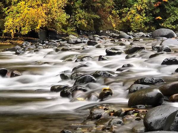 Molalla Art Print featuring the photograph Flowing Molalla by Brian Eberly