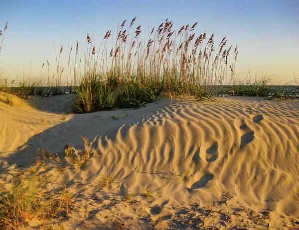 Dune Art Print featuring the photograph Footprints in Sand 2 by Patricia Schaefer