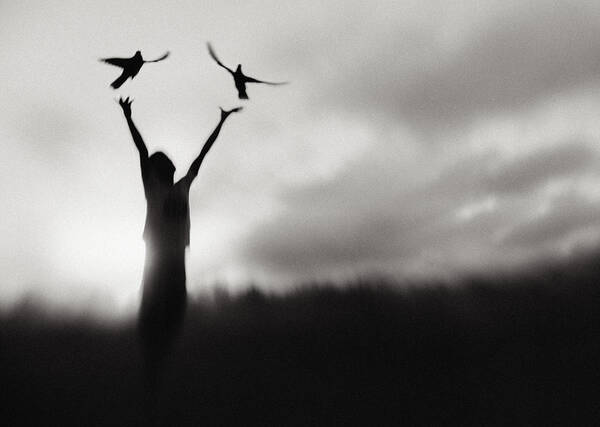 Freedom Art Print featuring the photograph Free Fly by Sebastian Kisworo