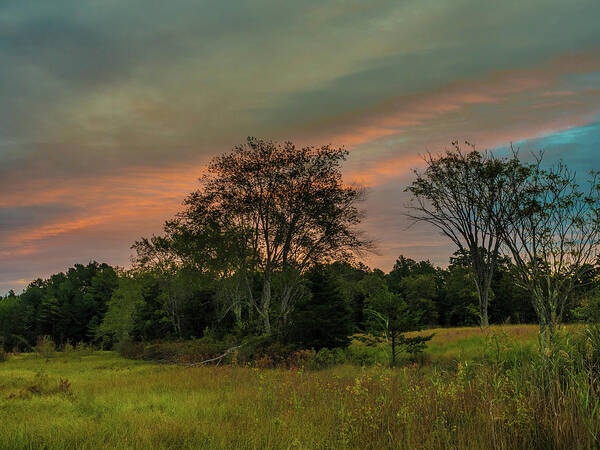 Colors Art Print featuring the photograph Pine Lands in Friendship Sunrise by Louis Dallara