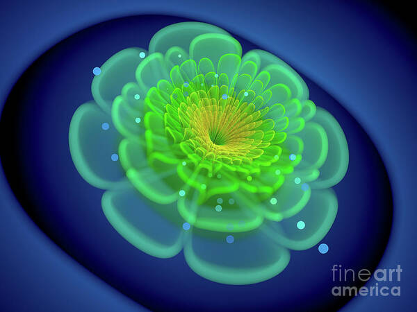 Fractal Art Print featuring the photograph Glowing Fractal Flower by Sakkmesterke/science Photo Library