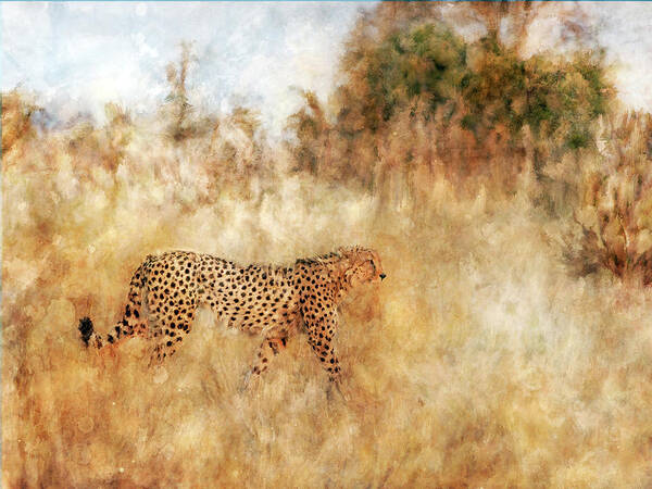 Golden Savanna Cheetah Art Print featuring the painting Golden Savanna Cheetah by Katrina Jones