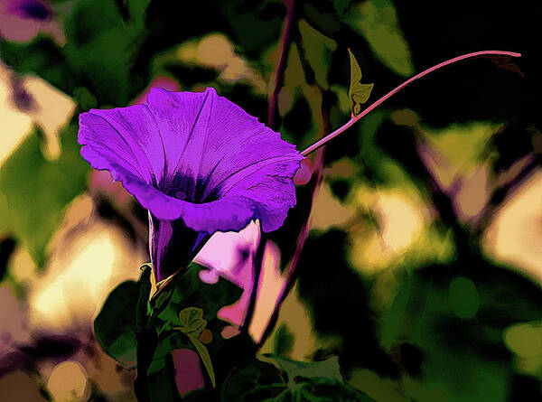 Flower Art Print featuring the photograph Good Morning Glory by G Lamar Yancy