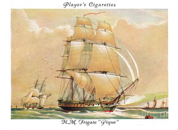 Engraving Art Print featuring the drawing Hmfrigate Pique by Print Collector