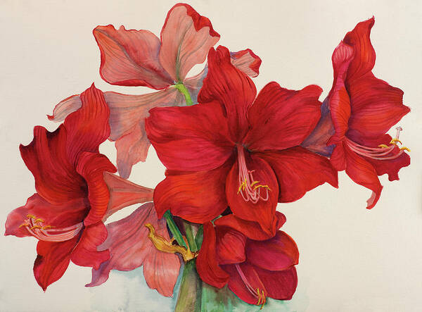 Red Amaryllis Bouquet
Christmas Art Print featuring the painting Holiday Amaryllis by Joanne Porter