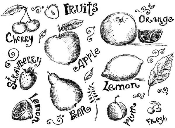Doodle Art Print featuring the digital art Illustrations Of Various Fruits And by Kalistratova