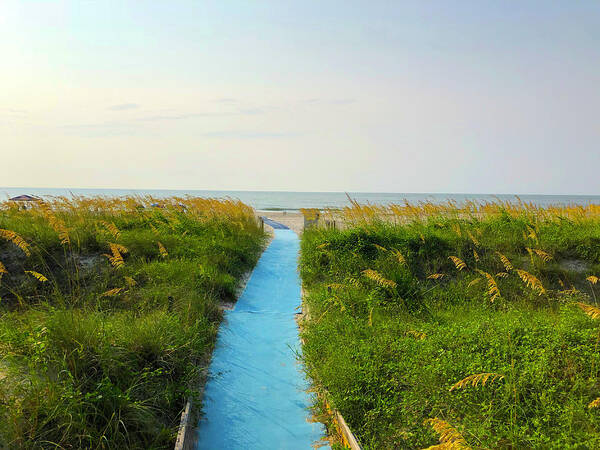 Sand Dunes Art Print featuring the photograph Islander's Beach Path To Sunrise by Dennis Schmidt