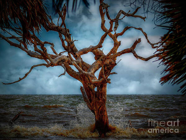 Seascapes Art Print featuring the photograph Jekyll's Driftwood Beach at High Tide by DB Hayes