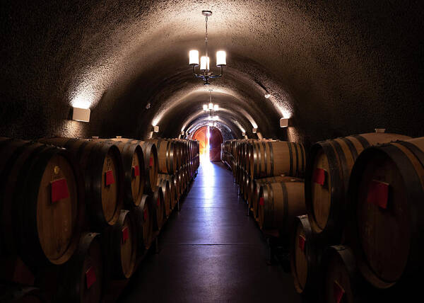 Wine Art Print featuring the photograph Keg Cave by Steven Clark
