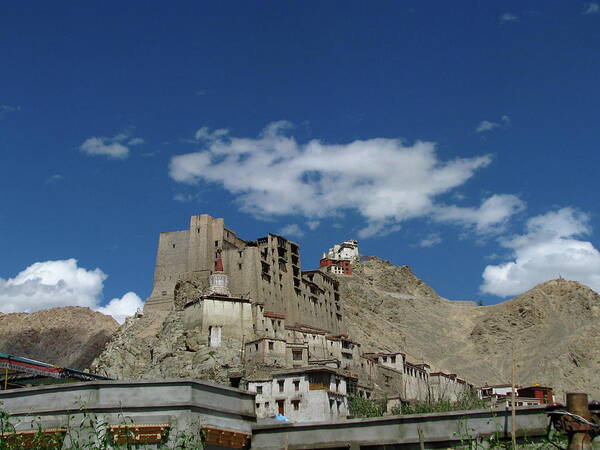 Built Structure Art Print featuring the photograph Leh Palace And Fort by Mckay Savage