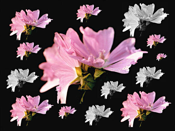 Pink Flowers Art Print featuring the photograph Mallow Bouquet Digital Collage by Mike McBrayer