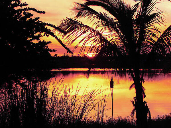 Landscape Art Print featuring the photograph Manatee River Sunset by Susan Hope Finley