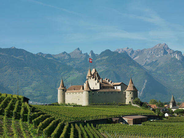 Tranquility Art Print featuring the photograph Medieval Castle Of Aigle In Vineyards by Buena Vista Images