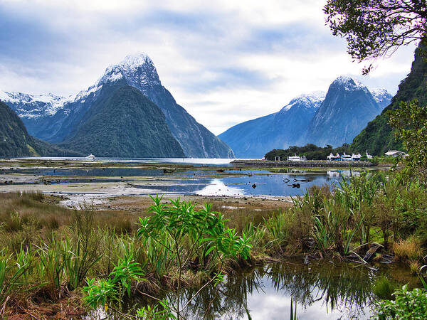 Milford Sound Art Print featuring the photograph Milford Sound - New Zealand by Steven Ralser