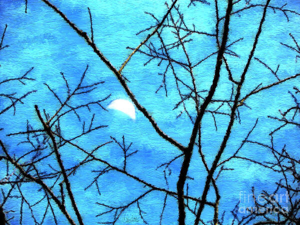 Moon Tree Trees Blue Through Digital Art Artistic Artist Branch Branches Wood Sky Craig Walters Night Art Print featuring the digital art Moon Through Trees by Craig Walters