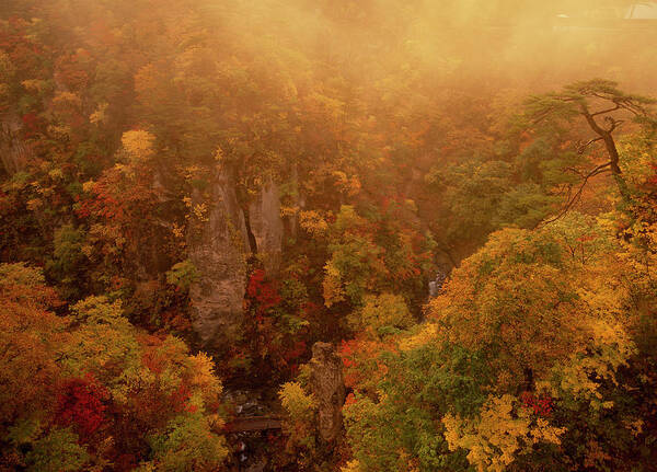 Scenics Art Print featuring the photograph Morning Glow Of Naruko Valley, Osaki by Mixa