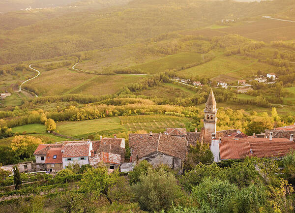 Outdoors Art Print featuring the photograph Motovun And Surrounding Hills At by David Madison