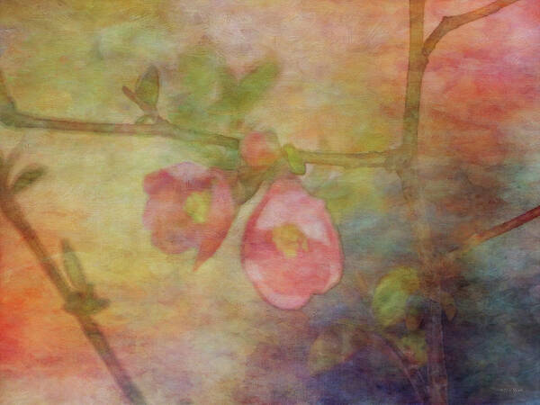 Impressionist Art Print featuring the photograph Muted Primaries 8844 IDP_2 by Steven Ward