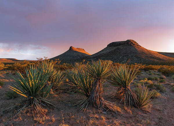 Buttes Art Print featuring the photograph New Mexico Buttes by Karen Conley