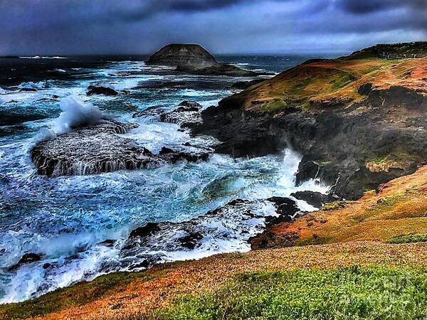 Nobbies Art Print featuring the photograph Nobbies Blowhole by Blair Stuart