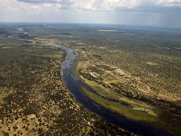 Aerial Art Print featuring the photograph Okavango River Delta by David Hosking