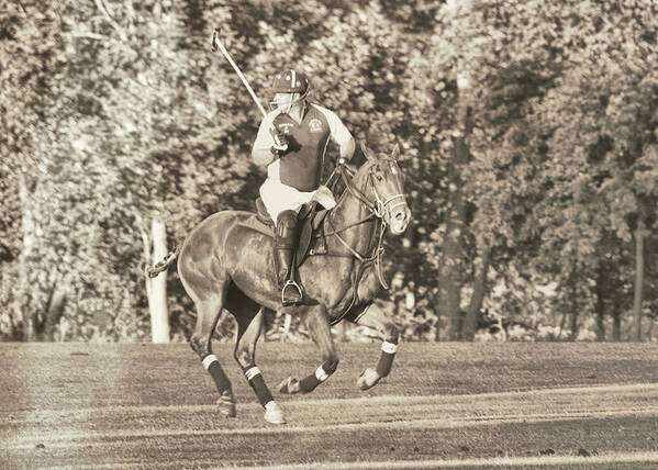 Ball Art Print featuring the photograph Playing Polo by JAMART Photography