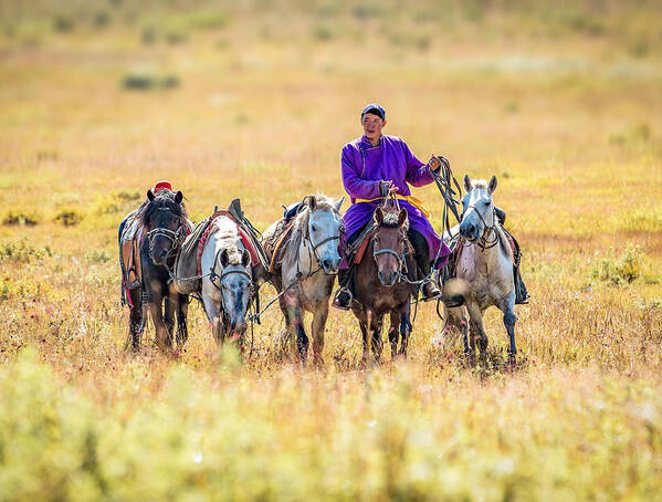 Mongolia Art Print featuring the photograph "taxi" On Grassland by Frank Ma