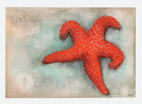 Asteroidea Art Print featuring the painting Red Sea Star by Hilda Wagner