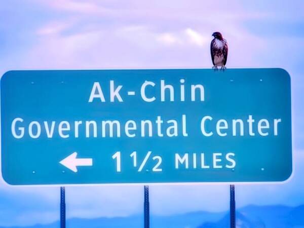 Affordable Art Print featuring the photograph Red-Tailed Hawk on Ak-Chin Indian Sign by Judy Kennedy