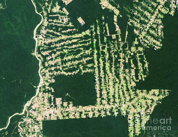 Social Issues Art Print featuring the photograph Satellite View Of Deforestation In by Satellite Earth Art