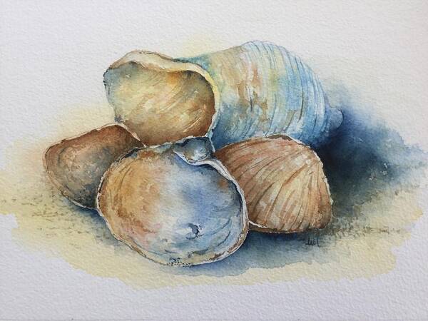 Seashells Art Print featuring the painting Seashells by Lael Rutherford