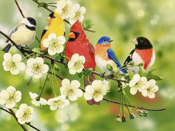 Birds Art Print featuring the painting Songbirds On A Flowering Branch by William Vanderdasson