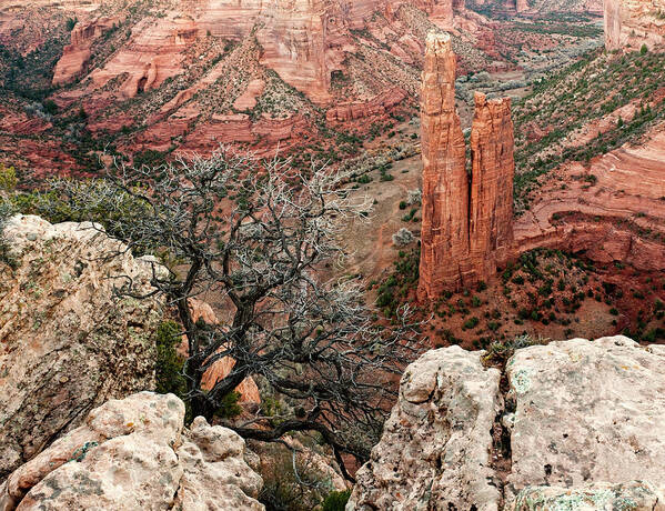 Tranquility Art Print featuring the photograph Spider Rock At Canyon De Chelly by Massimo Strazzeri Photography