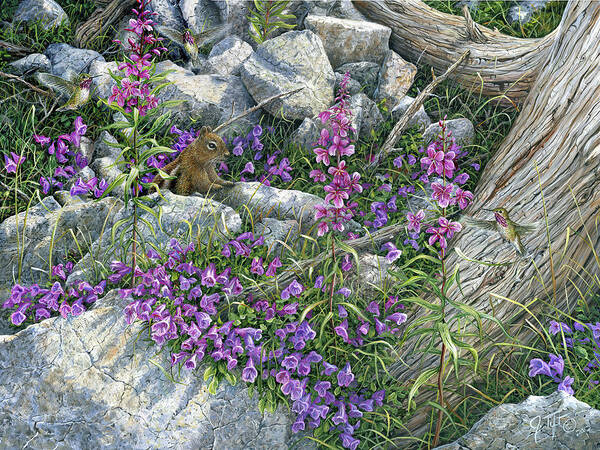 Squirrel On Rocks With Purple Flowers
Spring Art Print featuring the painting Squirrel Painting by Jeff Tift