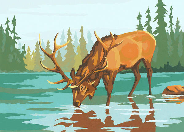 Stag Drinking Water Art Print by CSA Images - Fine Art America
