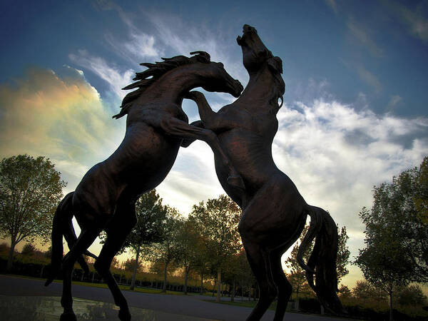 Town Art Print featuring the photograph Stallions by Sd Smart