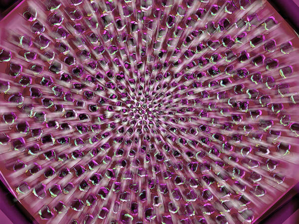 Phyllotaxis Art Print featuring the painting Static Phyllotaxis by Jeremy Robinson