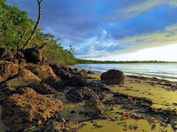 View Art Print featuring the photograph Stormy Sky Rocky Beach by Joan Stratton