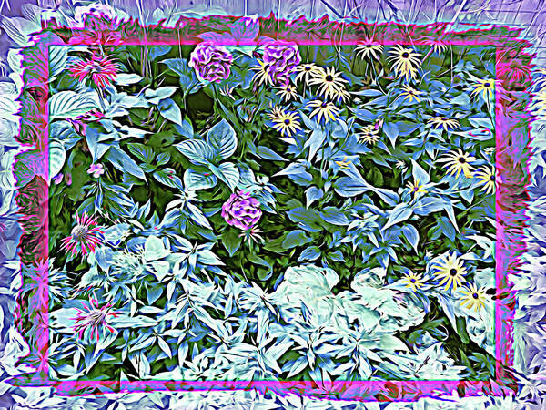 Garden Art Print featuring the photograph Summer Garden Wildflower by Aimee L Maher ALM GALLERY