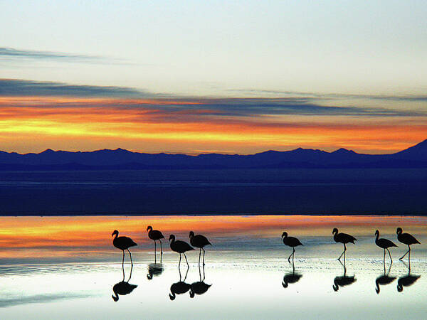 Tranquility Art Print featuring the photograph Sunset On The Uyuni Salt Desert, Bolivia by Raúl Barrero Photography