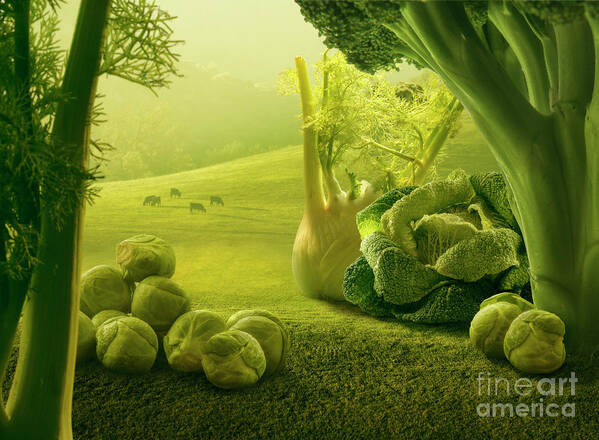 Broccoli Art Print featuring the photograph Surreal Giant Green Vegetables by Vizerskaya