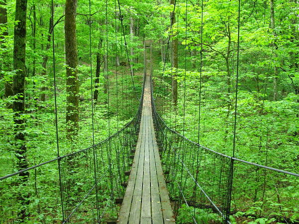 Scenics Art Print featuring the photograph Suspension Bridge by Daniel Muller