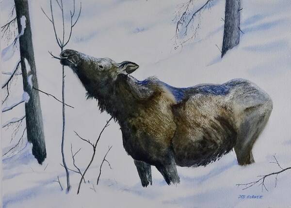 Alaska Art Print featuring the painting Tasty Twig by Deborah Horner