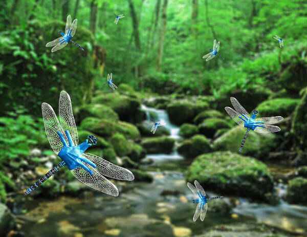 Dragonfly Asl De'via Deaf Signs Hand Stream Dragonflies Art Print featuring the digital art The Dance of Dragonflies by Paul Scearce