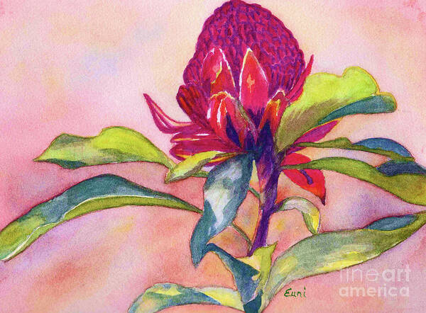 Flower Art Print featuring the painting The Gorgeous Waratah 5 by Eunice Warfel