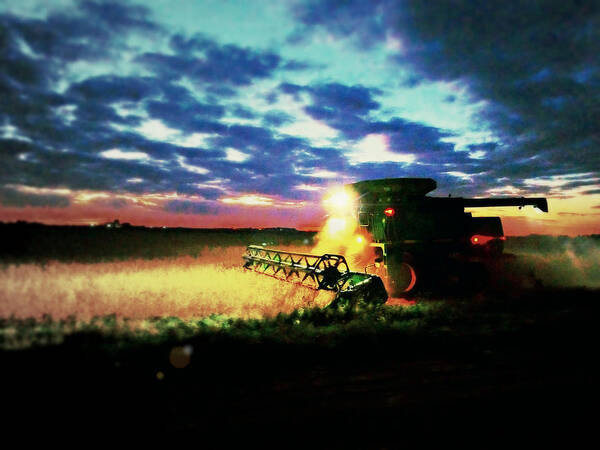 Field; Harvest; Beans; Fall; Minnesota; Fulda; Tsarts; Troystapek; Troy Stapek; Night Work; Farming Art Print featuring the photograph There goes the beans by Troy Stapek